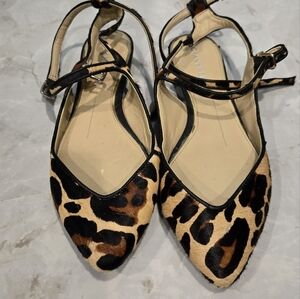 Gianni Bini 6.5 leopard ballet flats